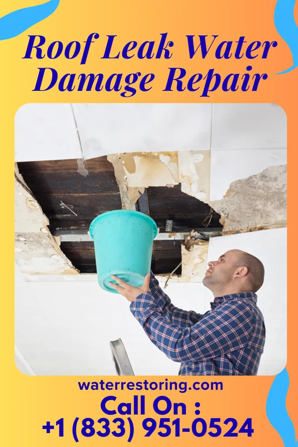 Roof Leak Water Damage Repair in Royalton, MN