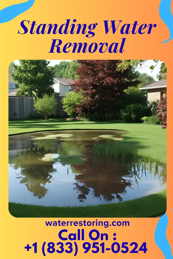 Standing Water Removal in Royalton, MN